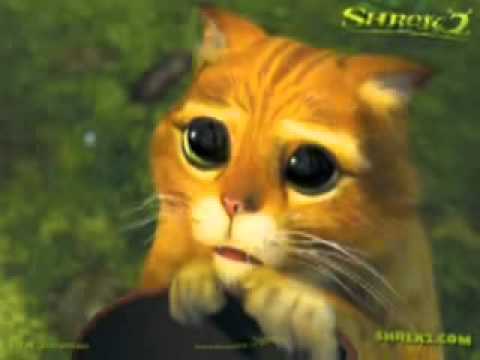 El gato más triste del mundo en declaración... - YouTube El gato más triste del mundo en declaración... - YouTube