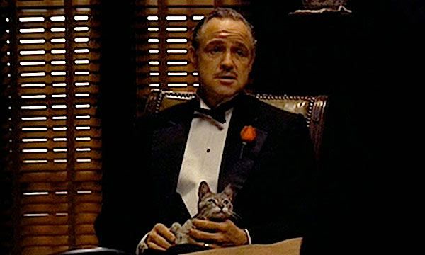 El gato que vemos en esta escena era un gato callejero que Coppola veía diariamente rondando el set. Antes de grabar la secuencia, el director lo recogió, se lo entregó a Marlon