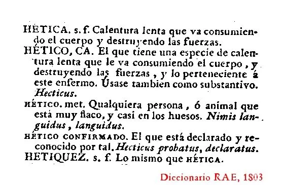 TRIBUNAL DE FALTAS | Gatopardo