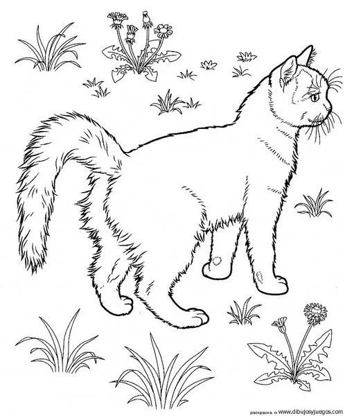dibujo-de-gato-252 | Dibujos y juegos, para pintar y colorear dibujo-de-gato-252 | Dibujos y juegos, para pintar y colorear