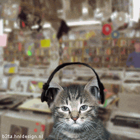 Los gatos tambien escuchan música | aNieto2K Los gatos tambien escuchan música | aNieto2K