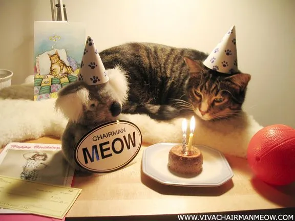 Gatos Sin Guantes *: Feliz Cumpleaños a míiii ! Gatos Sin Guantes *: Feliz Cumpleaños a míiii !