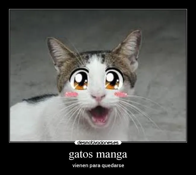 gatos manga | Desmotivaciones