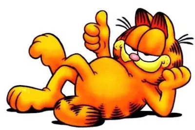 Los gatos seran famosos
