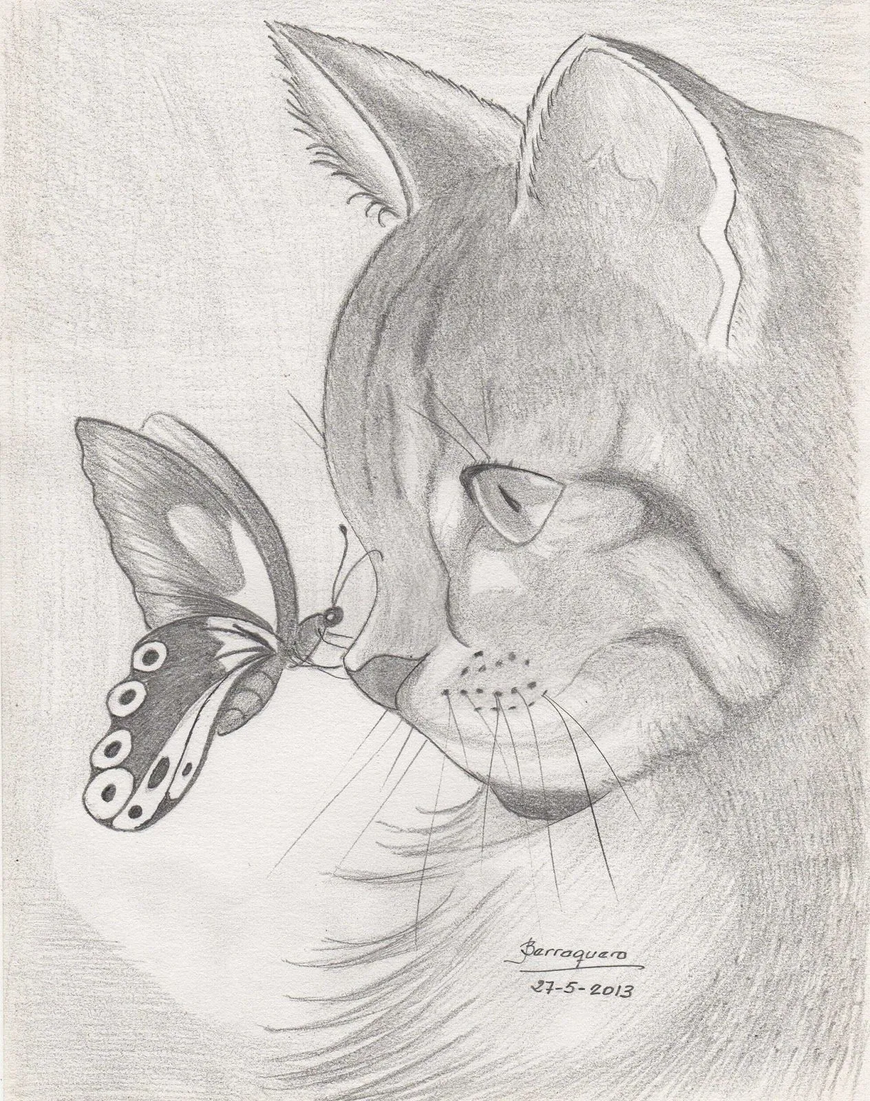 Gatos tiernos para dibujar a lapiz - Imagui