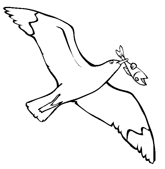 Gaviota para colorear