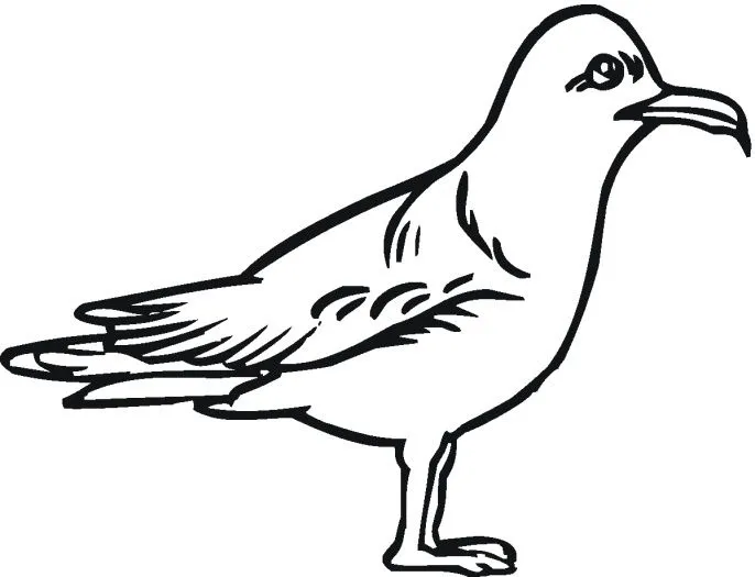 gaviotas-para-colorear.jpg