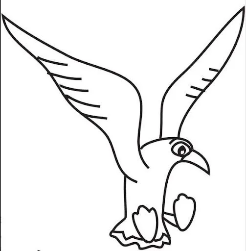 Dibujos de gaviotas - Imagui