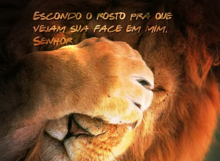 GCEM ESCUDO DE JUDÁ