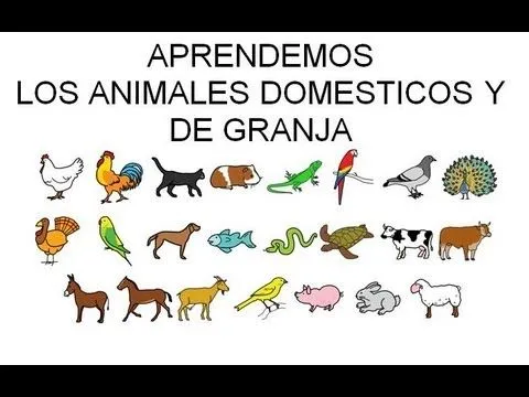 GEA EDUCADORES: Bingo de frutas y de animales
