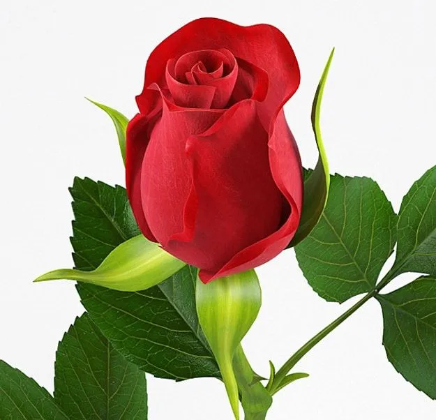 Geek Love: 3D Printed Red Rose For Your High Tech Romance Geek Love: 3D Printed Red Rose For Your High Tech Romance