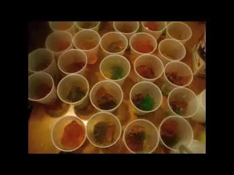 Gelatinas de mosaico - La receta de la abuelita - YouTube Gelatinas de mosaico - La receta de la abuelita - YouTube