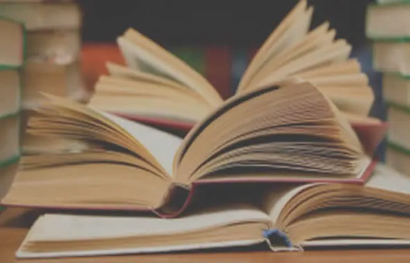 Nuevas Generaciones de San Martin del Rey Aurelio