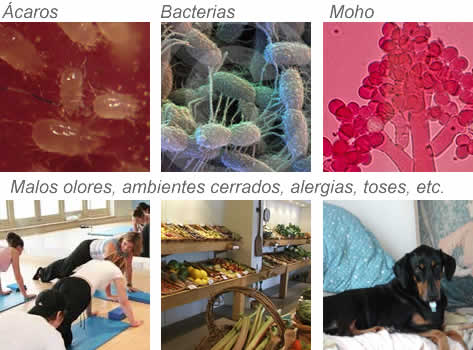 Generador de ozono profesional. Sanificador Lovair Clima. Generador de ozono profesional. Sanificador Lovair Clima.