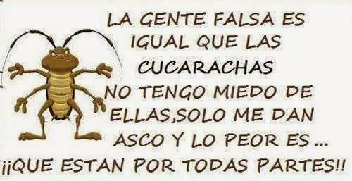 La gente falsa es igual que las cucarachas. | Frases