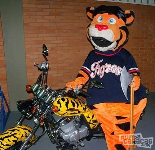 Gente | Rumbacaracas | La mascota de los tigres de Aragua