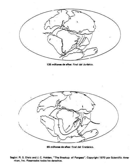 GEO CRITICA