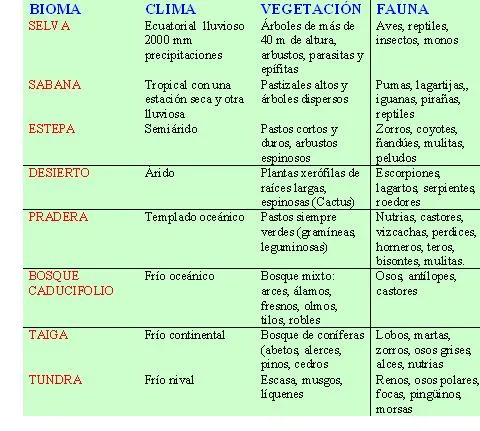 Geografía 2º 2010: BIOMAS DE AMÉRICA