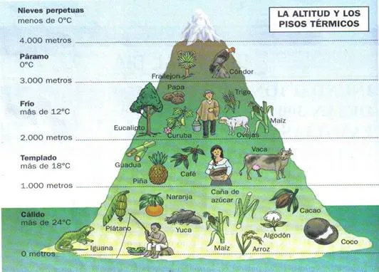 Geografía Física 2 (página 2) - Monografias.com