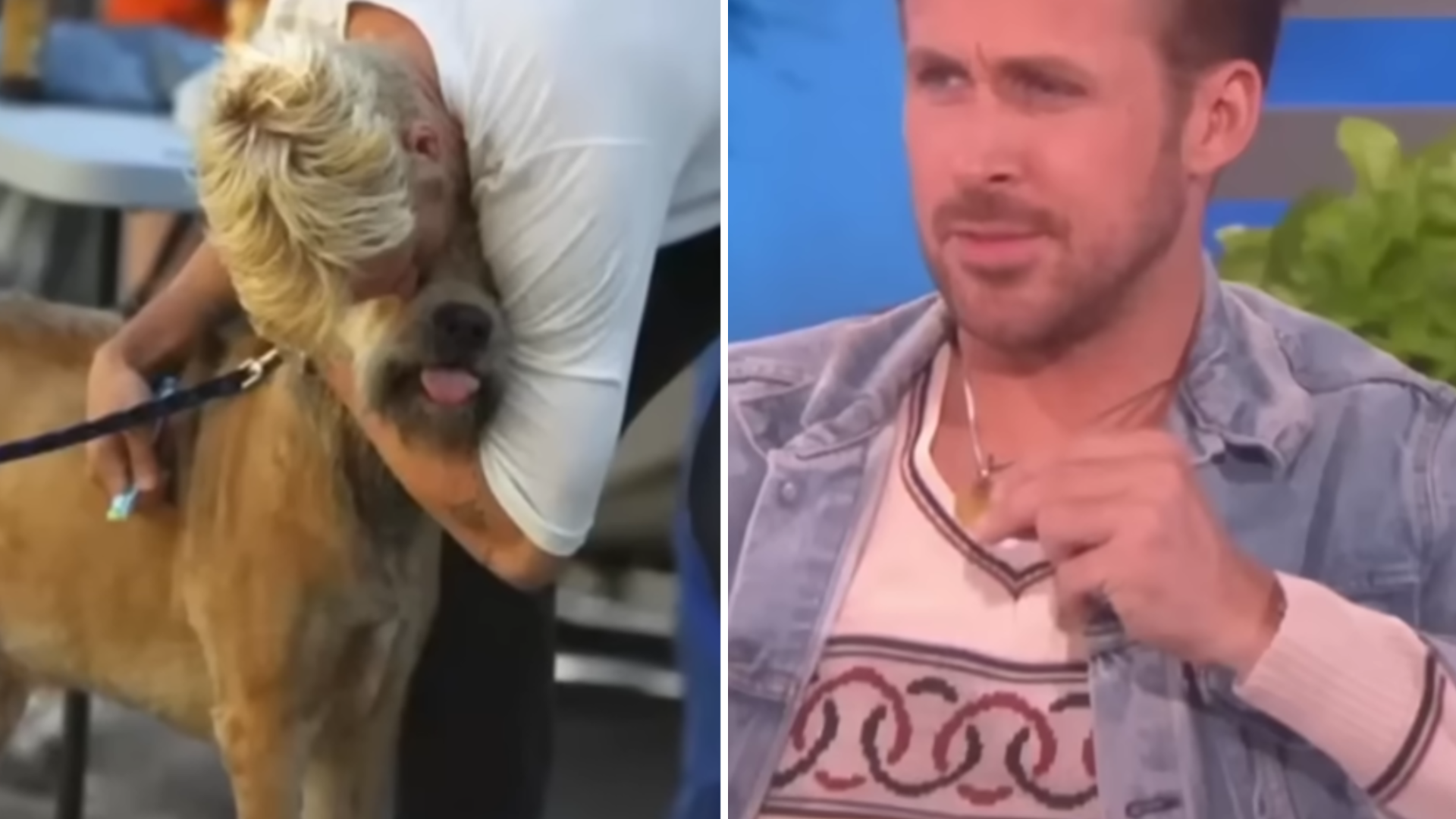 George, el perro que dejó huella en Ryan Gosling: “El gran amor de mi vida”  - Infobae