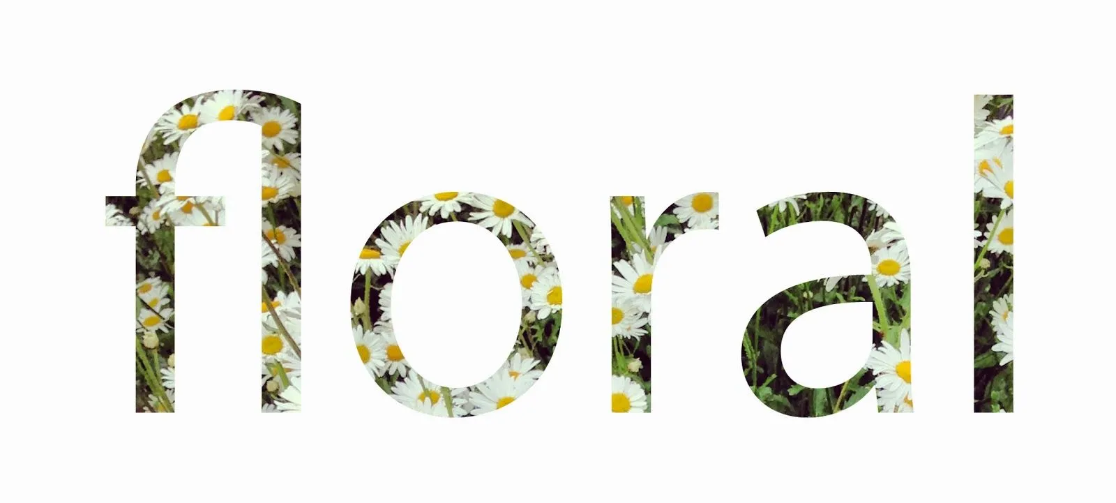 Georgia-Kay Mcloughlin 41