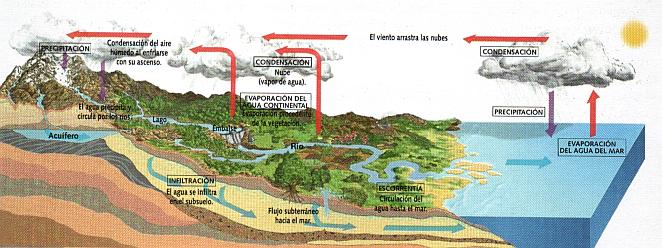Las geosferas terrestres y el balance hidrológico terrestre ... Las geosferas terrestres y el balance hidrológico terrestre ...