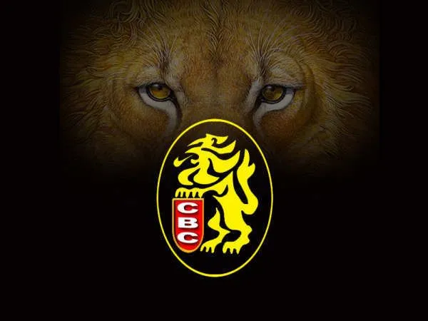 Gerard Loroima: Calendario de los Juegos de Los Leones del Caracas ... Gerard Loroima: Calendario de los Juegos de Los Leones del Caracas ...