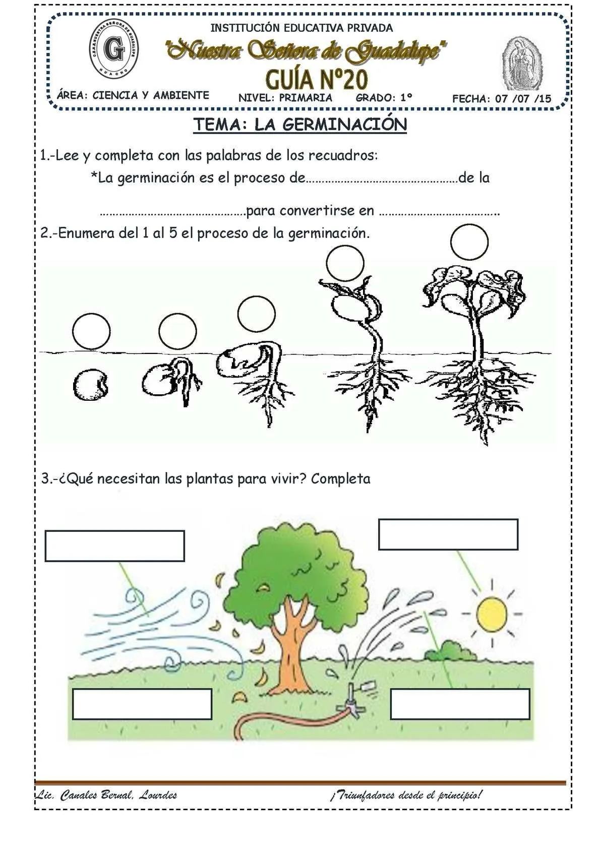 La Germinación | Actividades, Lectura comprensiva, Germinacion La Germinación | Actividades, Lectura comprensiva, Germinacion