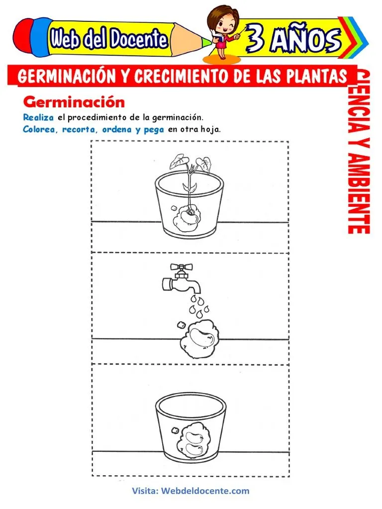 Germinación y Crecimiento de Las Plantas para Niños de 3 Años | PDF Germinación y Crecimiento de Las Plantas para Niños de 3 Años | PDF