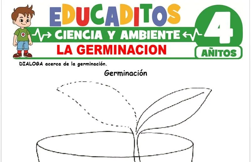 La Germinación para Niños de 4 Años » Educaditos.com La Germinación para Niños de 4 Años » Educaditos.com