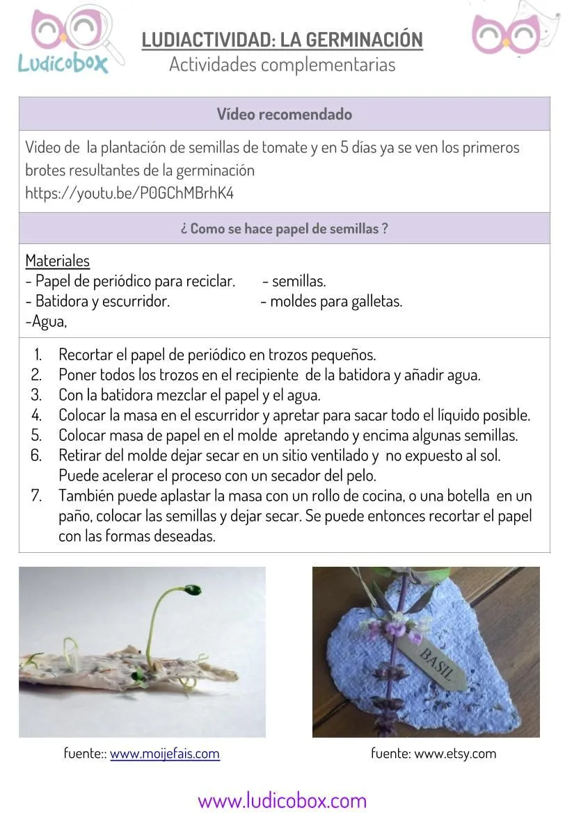 Germinación de las plantas: ¿como explicar a niños este proceso? - Ludicobox Germinación de las plantas: ¿como explicar a niños este proceso? - Ludicobox