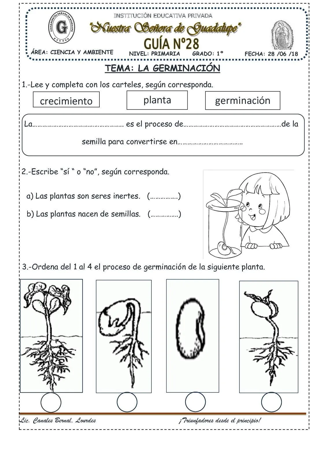 La Germinación(28) | Germinacion, Educación de valores, Partes de la planta La Germinación(28) | Germinacion, Educación de valores, Partes de la planta