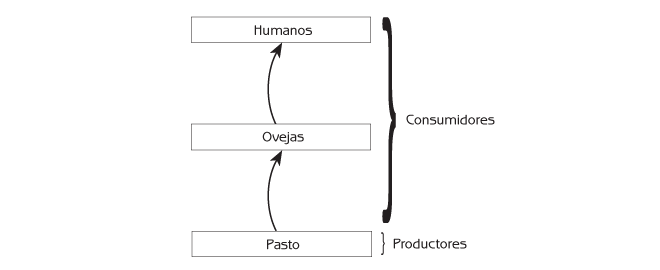 Gerry Marten | Ecología Humana: Conceptos Básicos para el ...