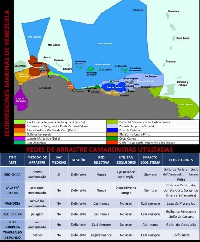 GESTIÓN DE LA PESCA DE ARRASTRE ARTESANAL CAMARONERA EN LAS ECORREGIONES VENEZOLANAS BAJO ENFOQUE EC - Issuu GESTIÓN DE LA PESCA DE ARRASTRE ARTESANAL CAMARONERA EN LAS ECORREGIONES VENEZOLANAS BAJO ENFOQUE EC - Issuu