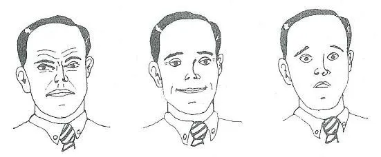GESTOS FACIALES: ¿CUÁLES RECONOCEN LOS HABLANTES DE CUALQUIER ... GESTOS FACIALES: ¿CUÁLES RECONOCEN LOS HABLANTES DE CUALQUIER ...