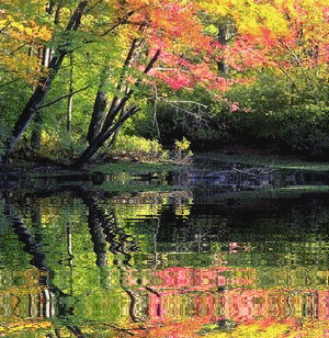 gif y animaciones: paisajes en movimiento