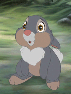 Gif animados de animales : Holacape