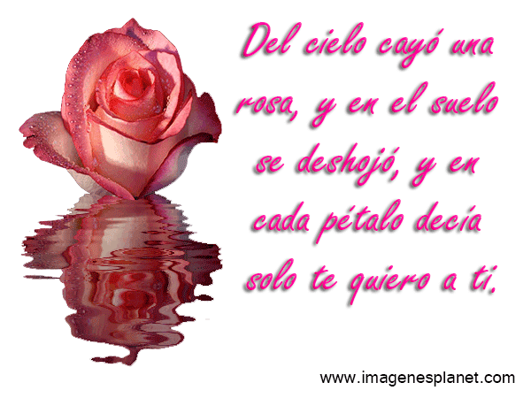 gif-animados-de-rosas-con- ...