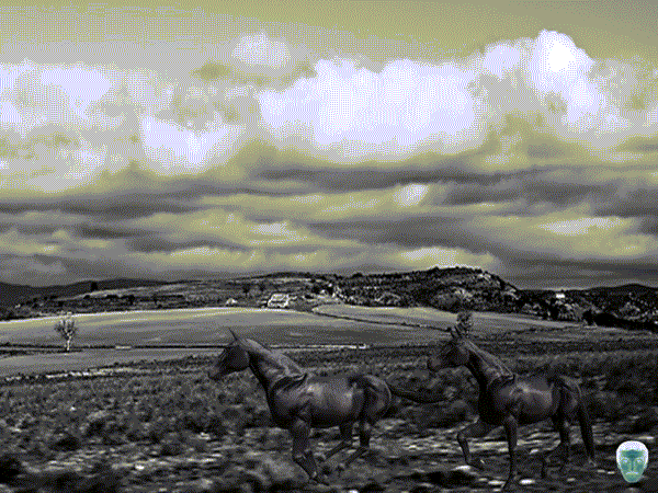 GIF ANIMADOS Y FRASES CORTAS: GIF ANIMADO DE CABALLOS GALOPANDO GIF ANIMADOS Y FRASES CORTAS: GIF ANIMADO DE CABALLOS GALOPANDO