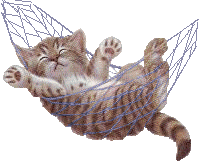 Gif animados de gatos