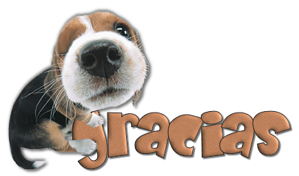Gifs con movimiento de gracias por su atencion - Imagui Gifs con movimiento de gracias por su atencion - Imagui