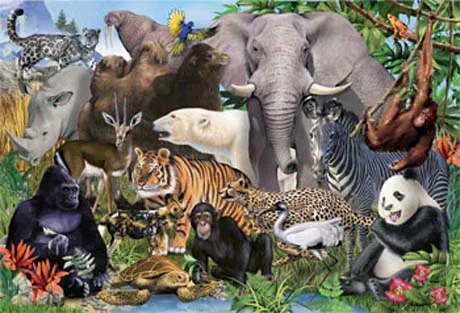 Gif de animales en peligro de extincion - Imagui