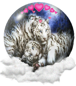 Gif boule tigres