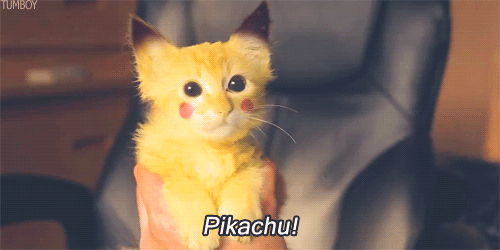 gif cat Fail funny pikachu gato xd MIAU gatito sharerz • gif cat Fail funny pikachu gato xd MIAU gatito sharerz •