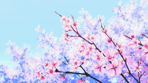 gif cerezo | Tumblr