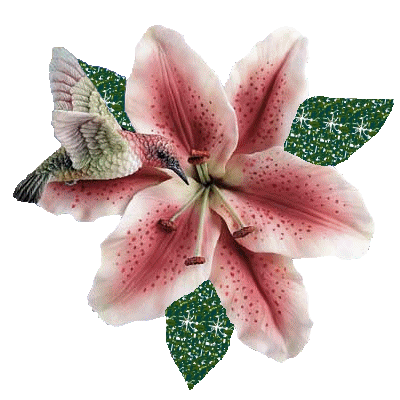 Flores gif en movimiento - Imagui