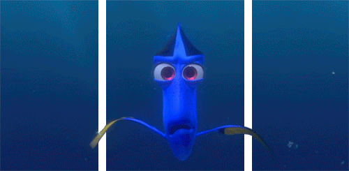 gif gifs my gifs disney Pixar finding nemo disney gif 3D 3d gif ... gif gifs my gifs disney Pixar finding nemo disney gif 3D 3d gif ...