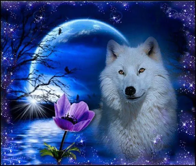 Gif lobos con movimiento - Imagui