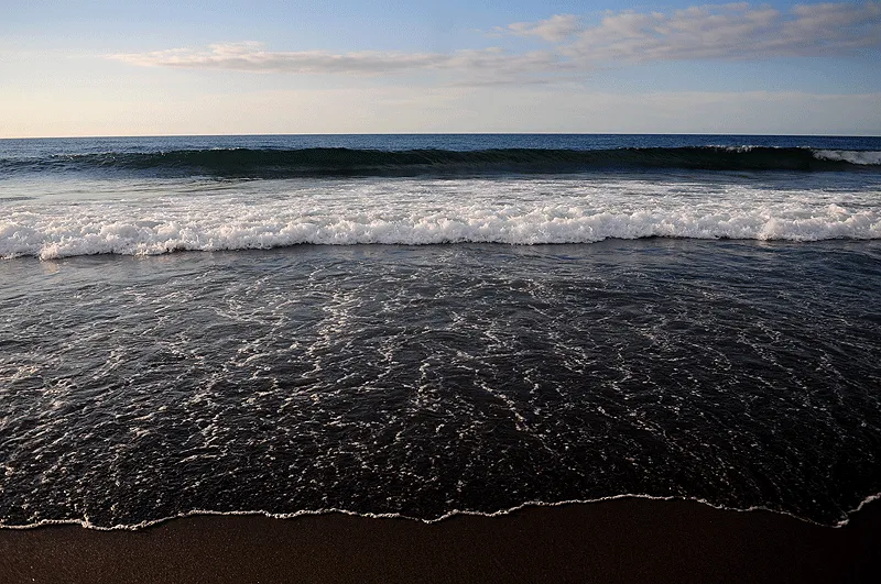 Fevereiro 2012 - Maria José Rijo