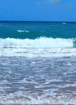GIF: Las olas del mar en movimiento (Gif #1459) GIF: Las olas del mar en movimiento (Gif #1459)